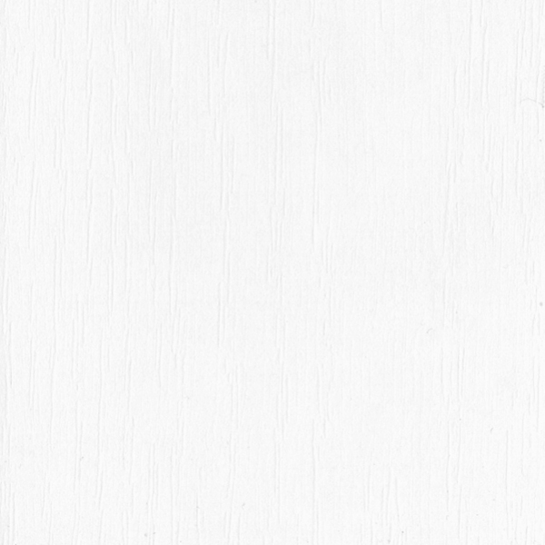 Корпус ШН3Я 603 (23) белый