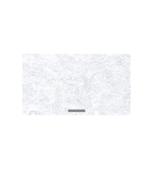 Ф85 Бетон ШВГ 600; ШВГП 600 (50) снежный