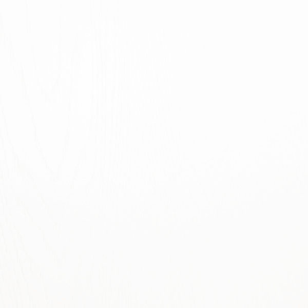 Корпус ШН1Я 400 Б/СТ (50) белый