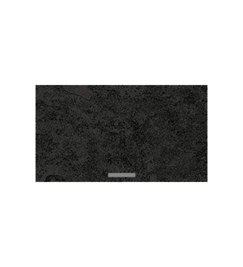 Ф85 Бетон ШВГ 600; ШВГП 600 (50) графит