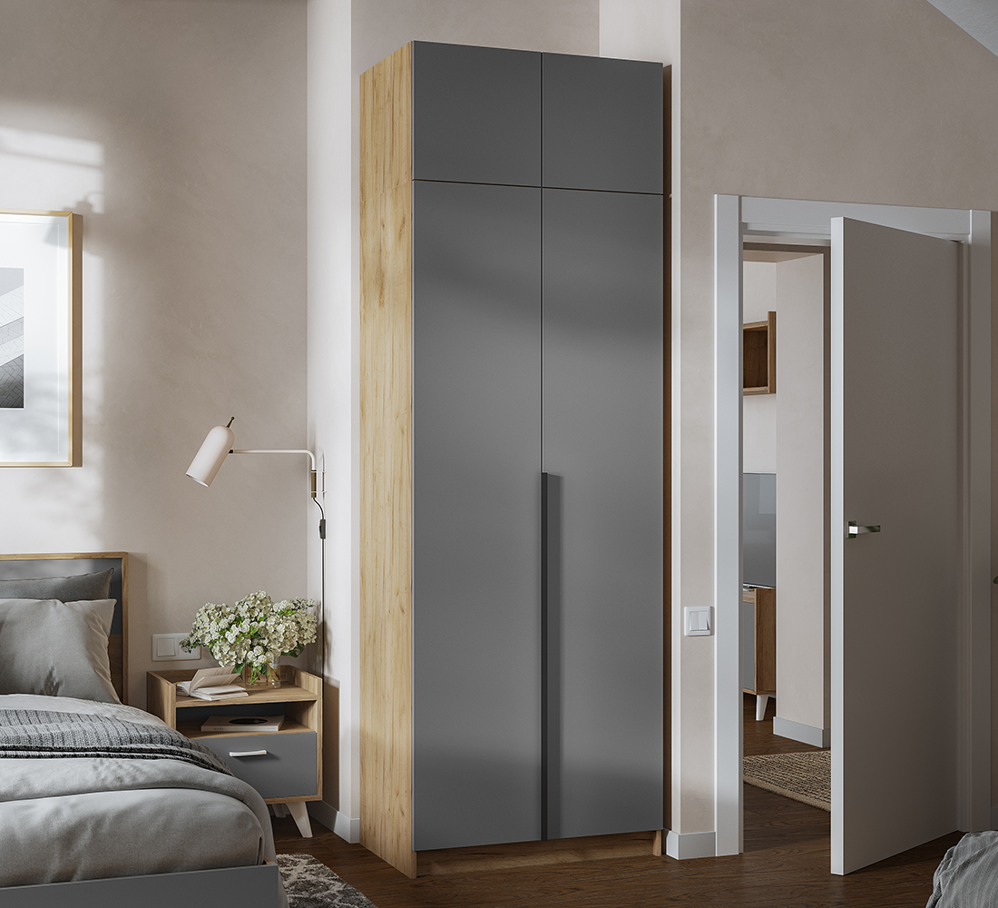 ЛИОН ШК-01 Шкаф 2-х створчатый (50) графит/дуб крафт золотой ЛИОН ШК-01 Шкаф 2-х створчатый (50) графит/дуб крафт золотой